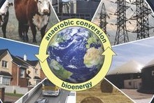 Image from cover of Anaerobic Biotechnology